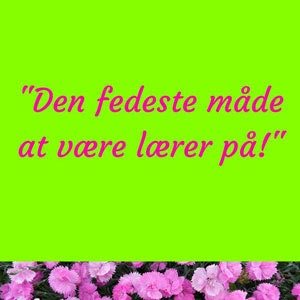 motiverede elever